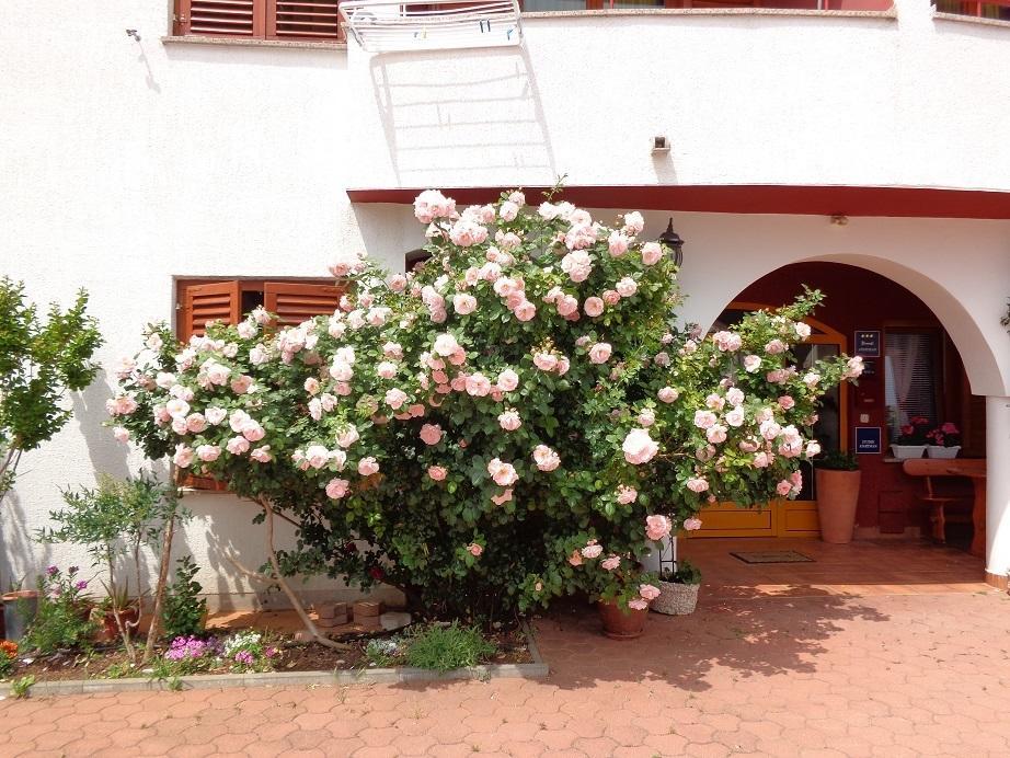 Apartmani Adrijan Krk Veglia Exterior foto